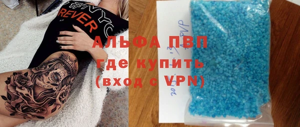 индика Дмитров