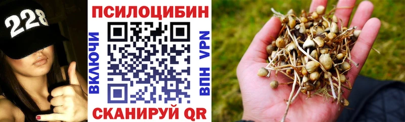 Галлюциногенные грибы ЛСД  Уссурийск 